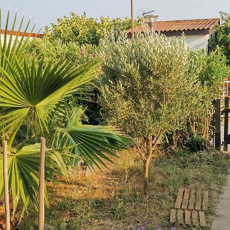 Chalet En Bois "Le Libellule" سيجيان المظهر الخارجي الصورة