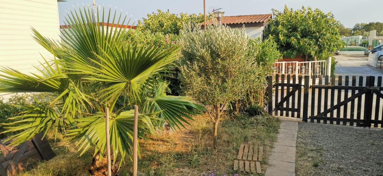 Chalet En Bois "Le Libellule" سيجيان المظهر الخارجي الصورة