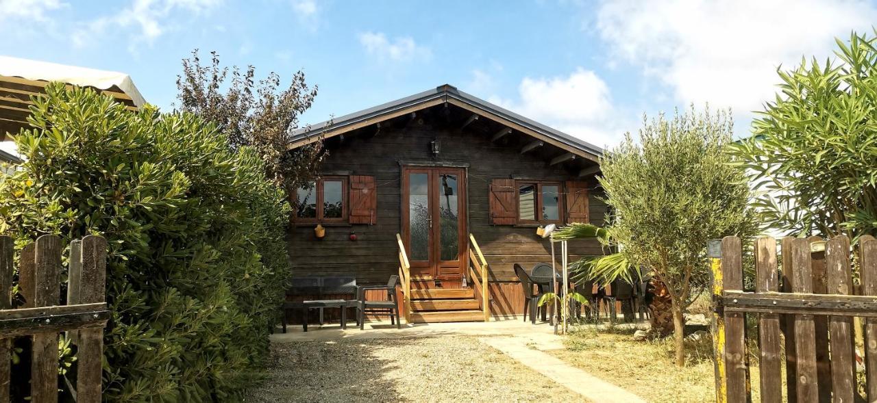 Chalet En Bois "Le Libellule" سيجيان المظهر الخارجي الصورة